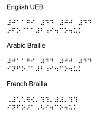 A2i's phone number and info@ email address in English, Arabic and French Braille