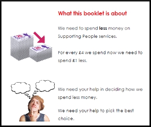 Image of Easy Read page