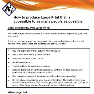 Picture of front of factsheet about Large Print