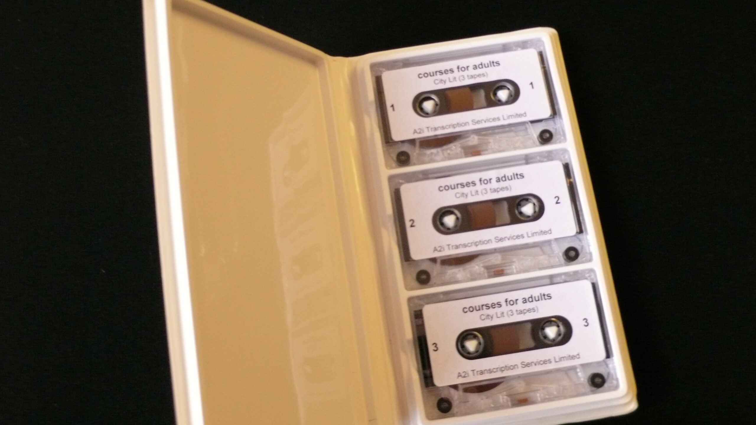 3 cassette tapes in a case. They have white stickers on, with black text and Braille