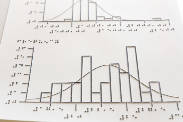 2 tactile bar graphs, with Braille annotation